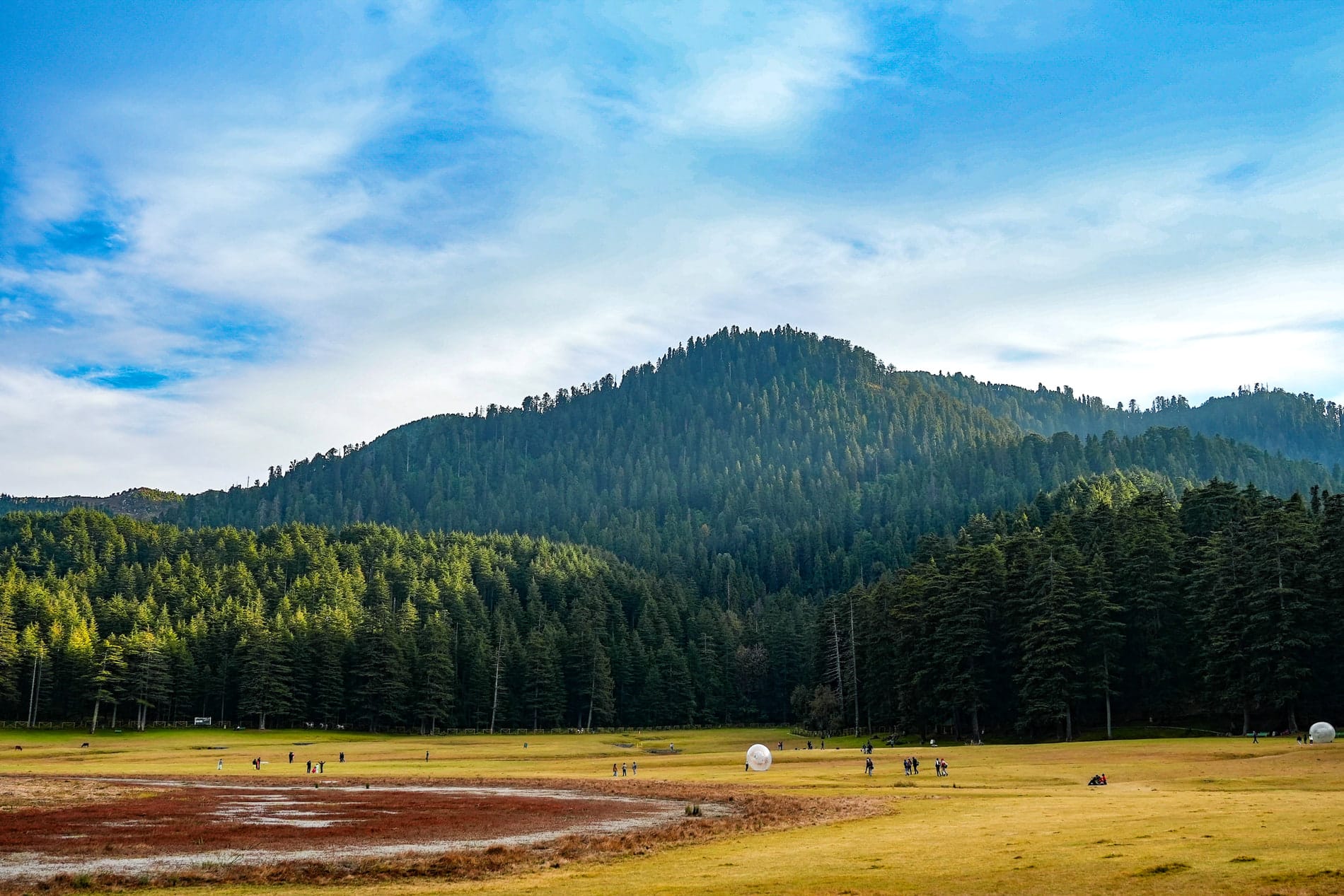The Khajjiar meadow below the hills