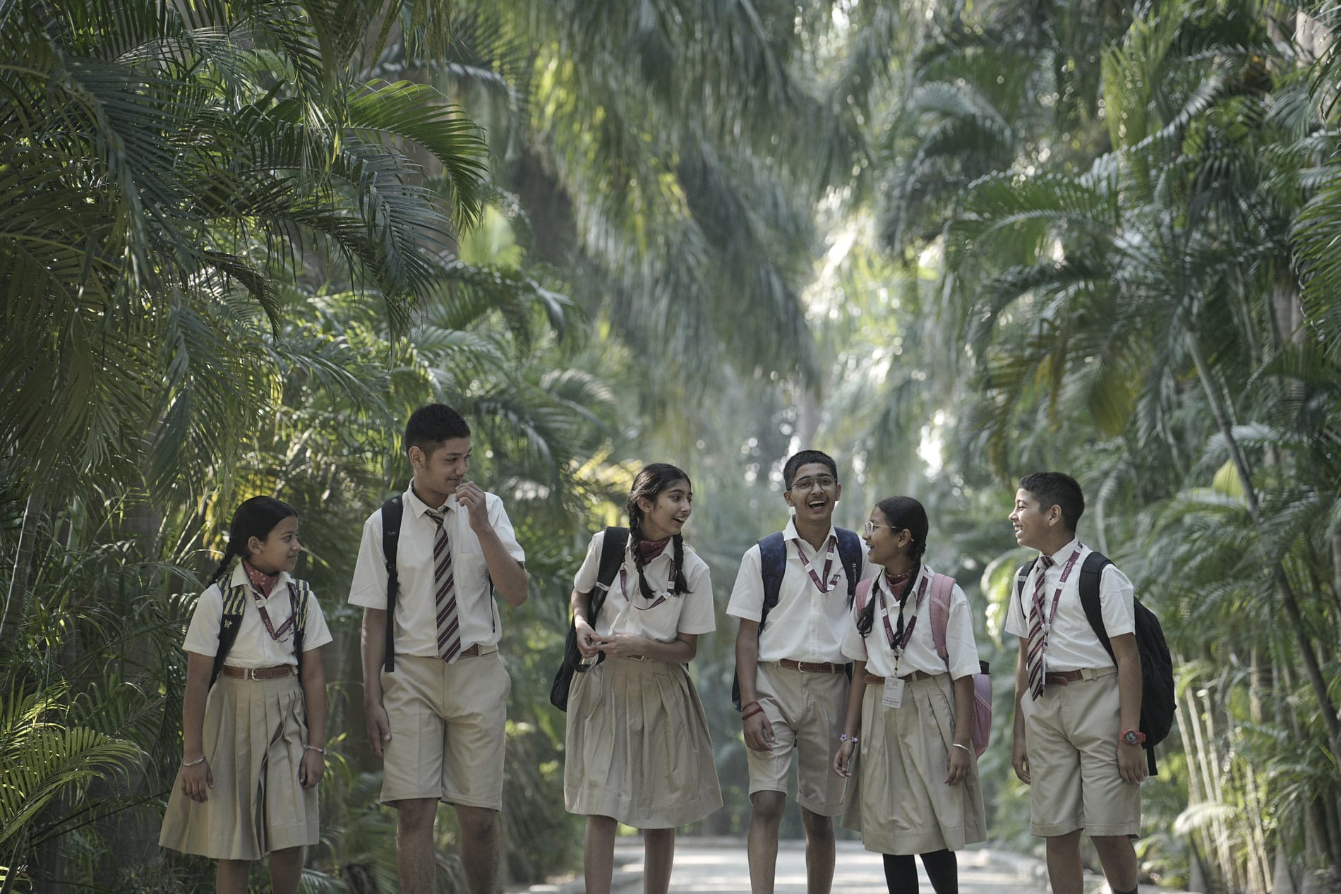 Senior students walking together down the palm avenue
